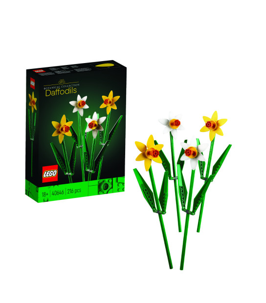 Daffodils 40646, Other